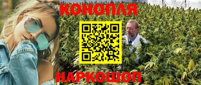 Альфа ПВП Жуковский