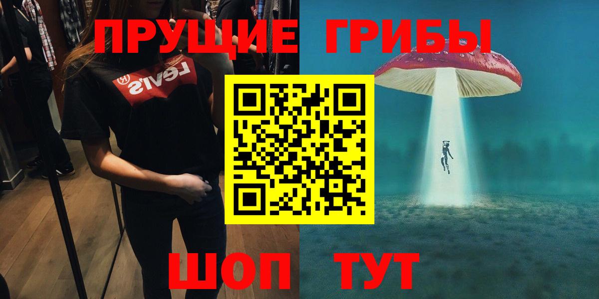 Псилоцибиновые грибы Psilocybine cubensis Кулебаки